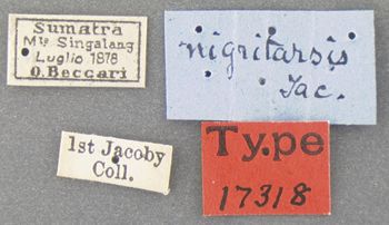 Media type: image; Entomology 17318   Aspect: labels